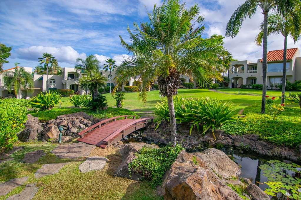 Apartament Palms At Wailea Wailea  Zewnętrze zdjęcie